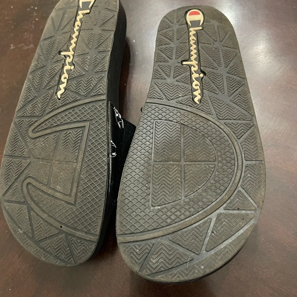 Champion slides size
